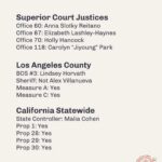 Matt McGorry Instagram - Voting guide for LA! Share widely! 📣📢📣📢 @dsa_la For the full guide check out dsa-la.org/voter-guide
