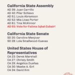 Matt McGorry Instagram - Voting guide for LA! Share widely! 📣📢📣📢 @dsa_la For the full guide check out dsa-la.org/voter-guide
