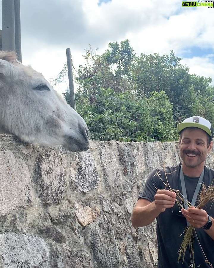 Matt McGorry Instagram - Made a new fwiend in Sintra π₯Ή And JoΓ£o was the best tour guide ever! ππΌπΊπ»ππΌπΊπ» Sintra, Portugal
