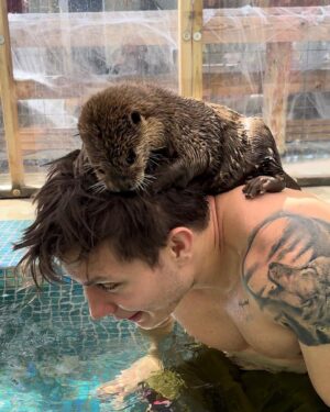 Matt Rife Instagram - My Hero Origin Story 🥹🦦🥰