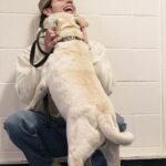 Matt Rife Instagram - I had the absolute pleasure of meeting @tiggersdogres in Regina, Canada and my heart melted! They have quite the family of rescue dogs for adoption who need good homes! If you live near the area- go give these fur babies, and yourself, and better life ❤️ This is Evie and she’s a cuddle monster 🥹🐕
