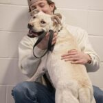 Matt Rife Instagram - I had the absolute pleasure of meeting @tiggersdogres in Regina, Canada and my heart melted! They have quite the family of rescue dogs for adoption who need good homes! If you live near the area- go give these fur babies, and yourself, and better life ❤️ This is Evie and she’s a cuddle monster 🥹🐕