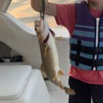 Matt Walsh Instagram - Took my son trout fishing. He caught the biggest one of the trip. I cooked it for dinner the next night. He was incredibly proud to provide food for the family.