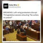 Matt Walsh Instagram - These are all insurrectionist terrorists who should rot in federal prison. Those are the rules.