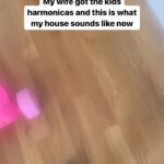 Matt Walsh Instagram - There goes my appreciation for harmonicas.
