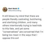 Matt Walsh Instagram - You'll notice that the people who have this concern haven't done a single damned thing to help in this fight. They criticize what I do and the methods that I use but they do nothing. They sit on the sidelines and hope that their "nice" act covers up their cowardice. It doesn't.