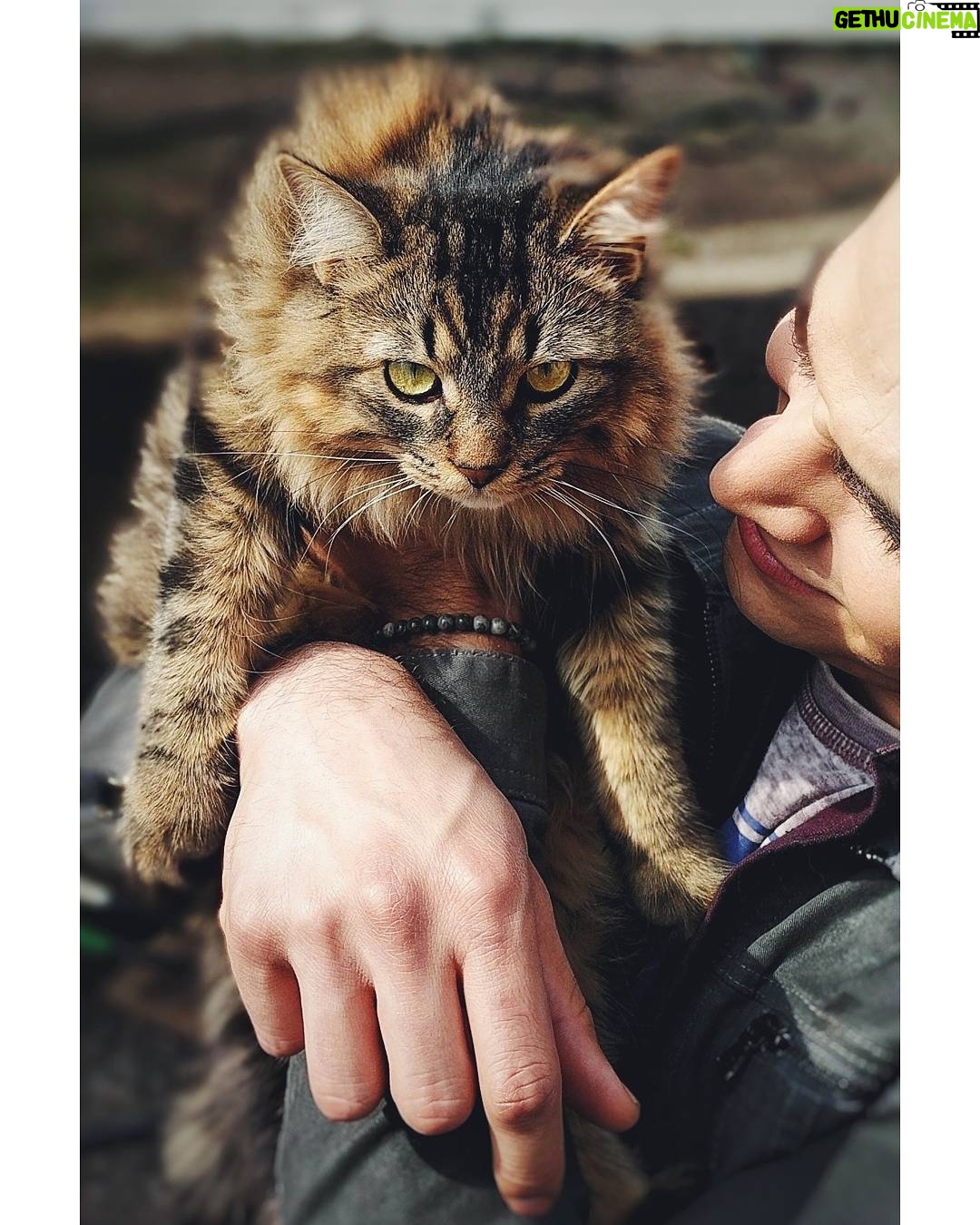Matthew Daddario - 208.5K Likes - Thrilled.