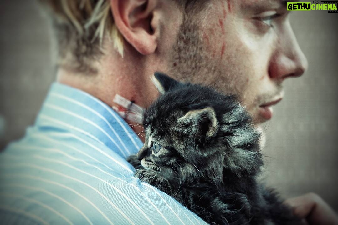 Matthew Daddario - 266K Likes - The cat didn't do it.