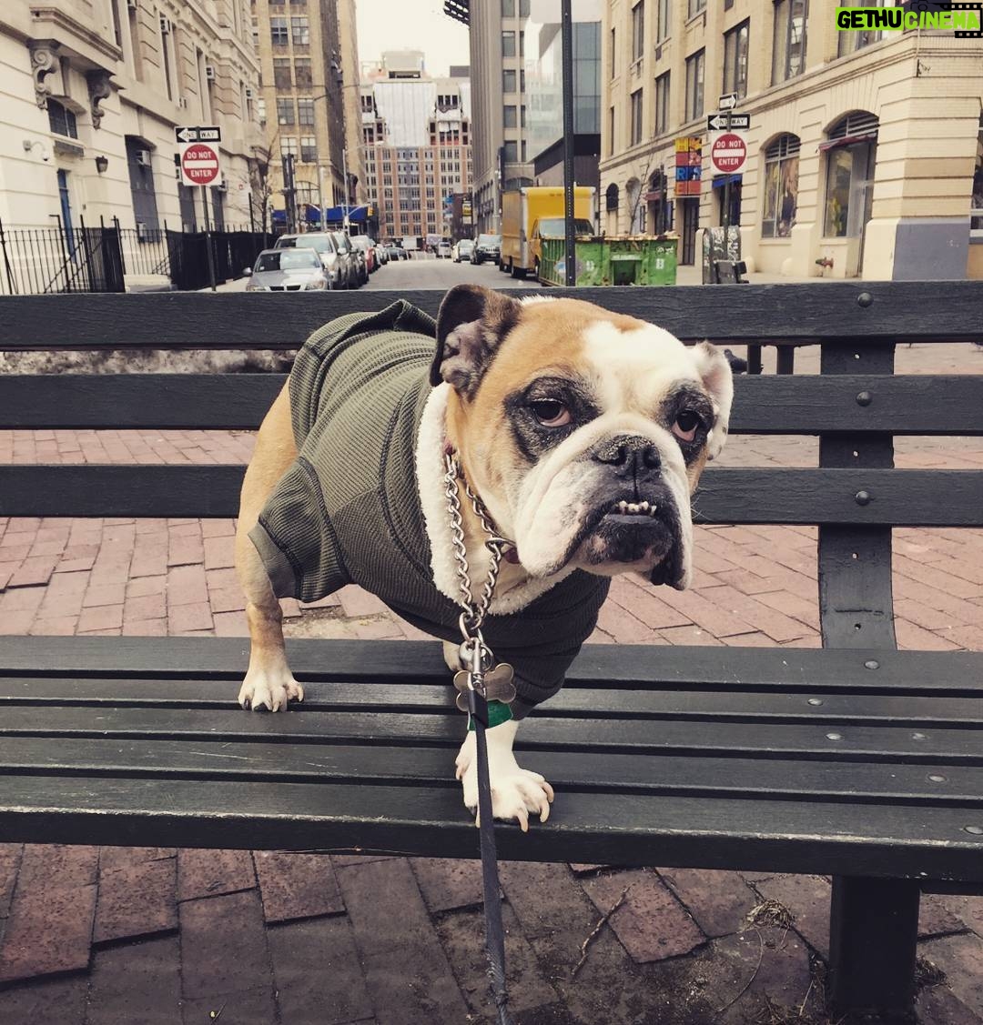 Matthew Daddario Instagram - Dylan don't need no leg.
