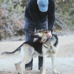 Matthew Daddario Instagram - Good dog.