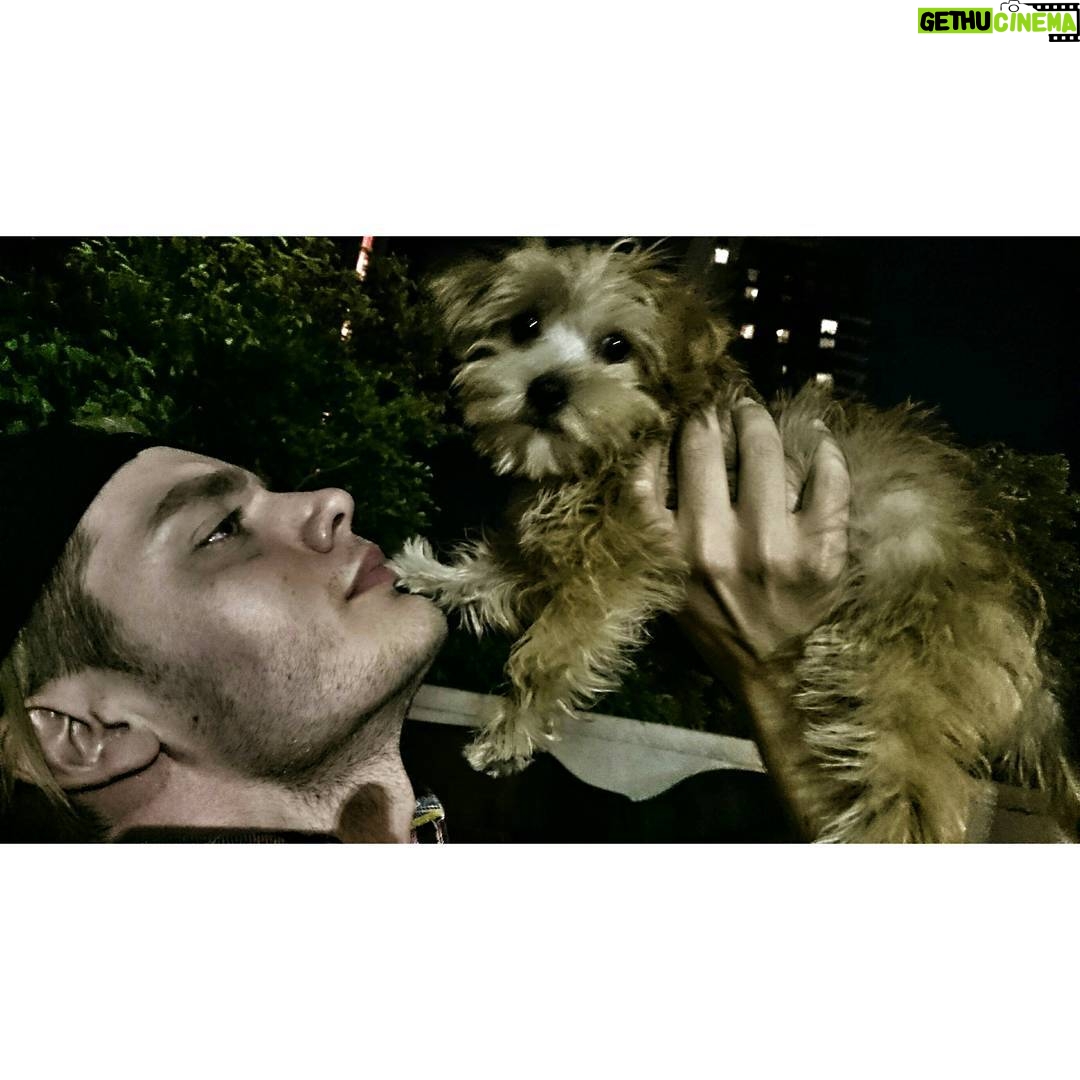 Matthew Daddario Instagram - I agree Sophie, I agree.
