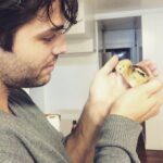 Matthew Daddario Instagram - Saved from the road by @bodhihorn and @therealzoebell
