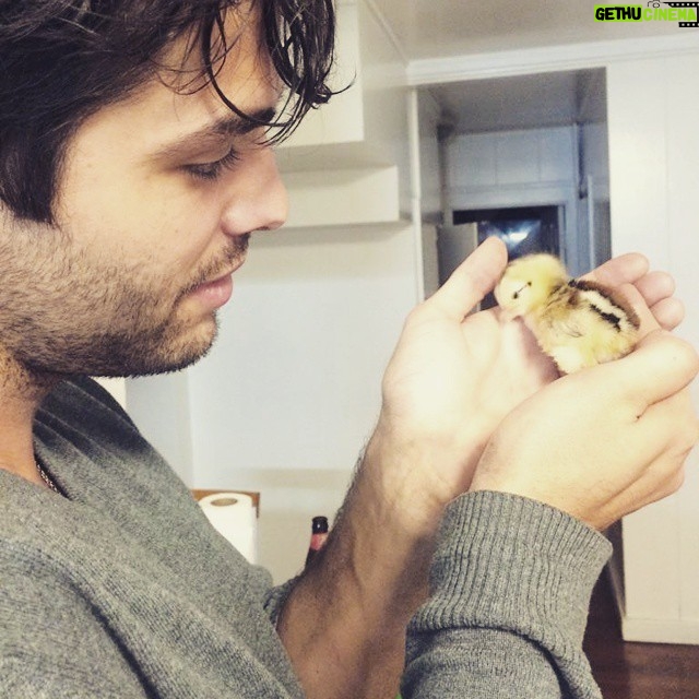 Matthew Daddario Instagram - Saved from the road by @bodhihorn and @therealzoebell