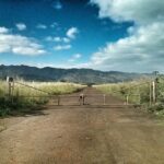 Matthew Daddario Instagram - Waialua