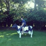 Matthew Daddario Instagram - This is my cow now. #moo