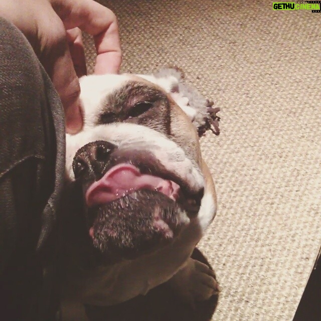 Matthew Daddario Instagram - Haha slobber slobber