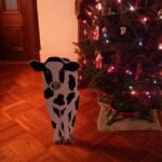 Matthew Daddario Instagram - Greatest gift ever. #moo #christmascow