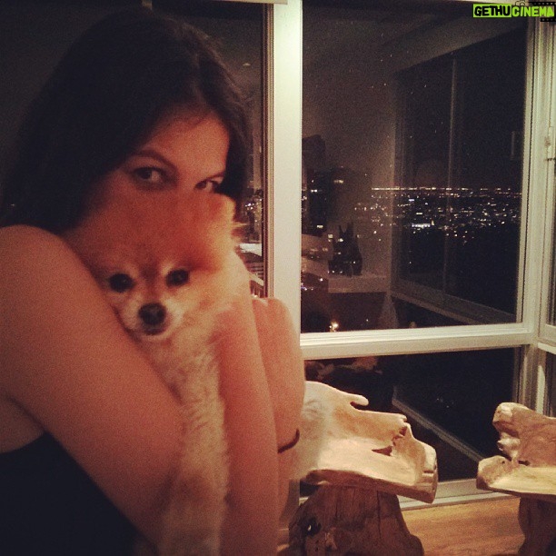 Matthew Daddario Instagram - Unbelievably cute puppy (and girl).