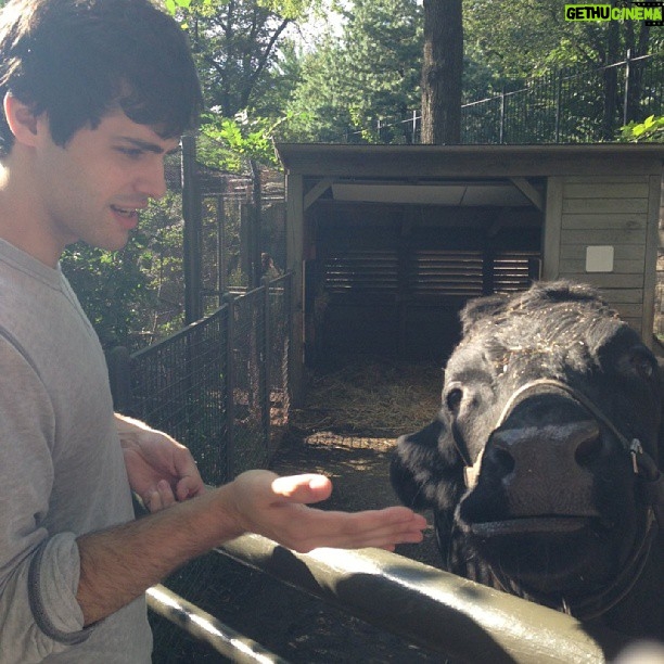Matthew Daddario Instagram - It can be hard to explain things to a cow.