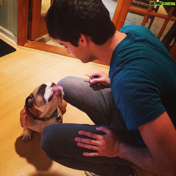 Matthew Daddario Instagram - Such a good puppy