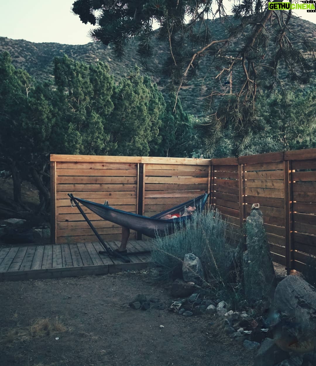 Matthew Daddario - 266.3K Likes - People in hammocks are pre-wrapped grizzly snacks.
