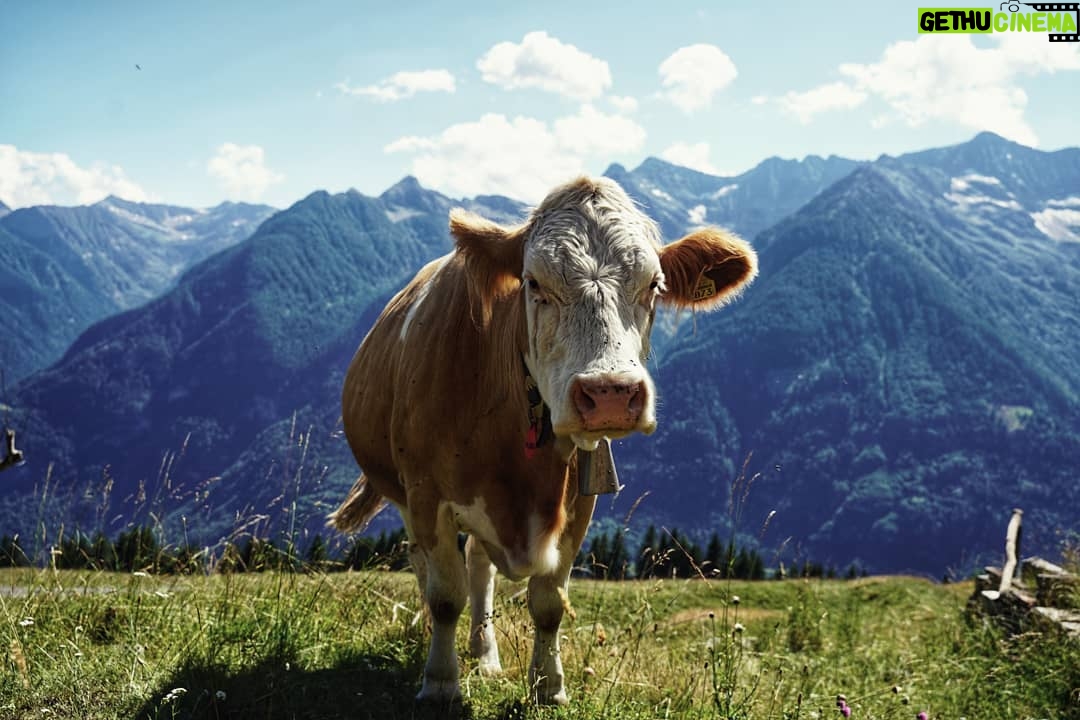 Matthew Daddario - 233.4K Likes - Alpine selfie.