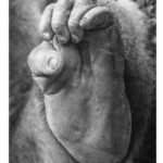 Matthew Daddario Instagram - Primate hand.