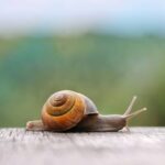 Matthew Daddario Instagram - Edit: I've been fired from my role in Chippendale Snail because I tweeted about it.