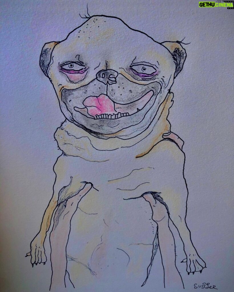 Matthew Gray Gubler Instagram - a dog