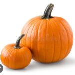 Matthew Gray Gubler Instagram - the pumpkin doesn’t fall far from the stalk