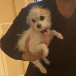 Matthew Gray Gubler Instagram - it took two strong irishmen and a crowbar to pry this bundle of fluff from my arms 💜