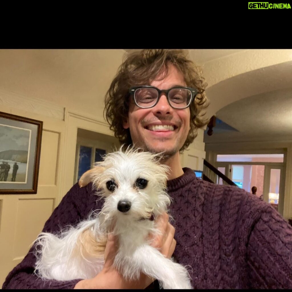 Matthew Gray Gubler Instagram - it took two strong irishmen and a crowbar to pry this bundle of fluff from my arms 💜