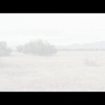 Matthew Gray Gubler Instagram - 2 of my favorite things i have ever directed were the #dontshootmesanta and #dirtsledding music videos for @thekillers & @ryanpardey in support of the @RED foundation. 2 videos shot 8 years apart but designed to be watched back-to-back to tell 1 heart warming Christmas story. best enjoyed with a cup of hot chocolate and dirt! ❤️ (link in bio)