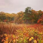 Matthew Gray Gubler Instagram - gourd boy shout out to nature