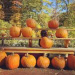 Matthew Gray Gubler Instagram - 12 pumpkins 1 gourd boy