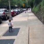 Matthew Gray Gubler Instagram - i don’t know the source of this video but may it be a source of warmth in your day and a reminder of our innate gravitational pull towards love and unity ❤️ follow that pull