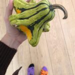 Matthew Gray Gubler Instagram - “the only thing better than 1 gourd on your hand is 3 gourds on your table.” - Gourd Boy Magazine @gourdboymagazineinc
