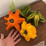 Matthew Gray Gubler Instagram - “the only thing better than 1 gourd on your hand is 3 gourds on your table.” - Gourd Boy Magazine @gourdboymagazineinc