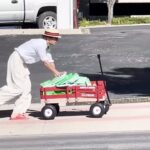 Matthew Gray Gubler Instagram - 🧤 delivery 4 💚