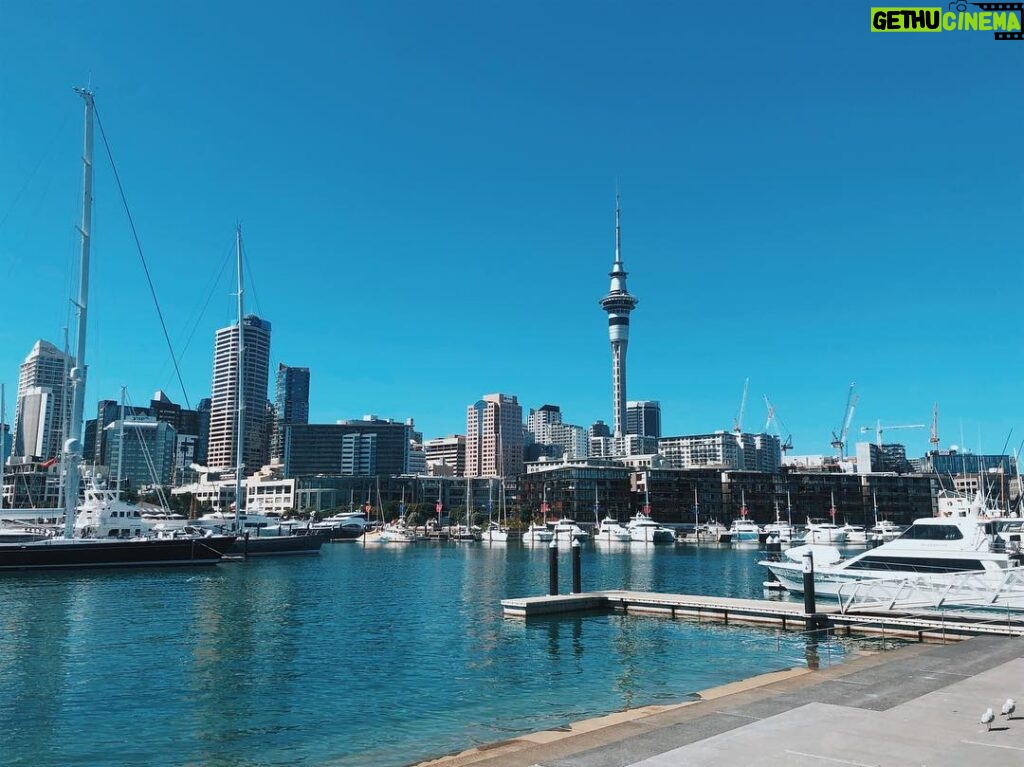 Matthew Lewis Instagram - Oh, hey, New Zealand 👋🏼 🇳🇿 #Auckland