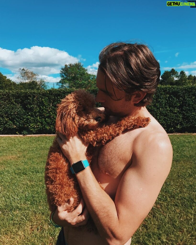 Matthew Lewis Instagram - Dog Day Afternoon. #NationalDogDay