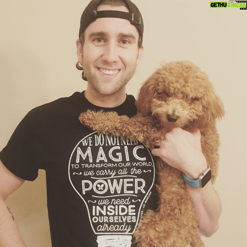 Matthew Lewis Instagram - Only 1 day left to get a @Lumos t-shirt! Enter and you could win a visit to the set of the Fantastic Beasts sequel: http://bit.ly/2h2Q9YV #PoodleNotIncluded