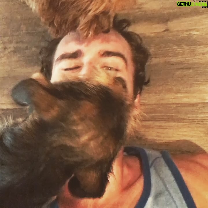 Matthew Lewis Instagram - Nellie and Luke always keen to congratulate me after leg-day. Thanks, guys. #salty #letmerestinpeace