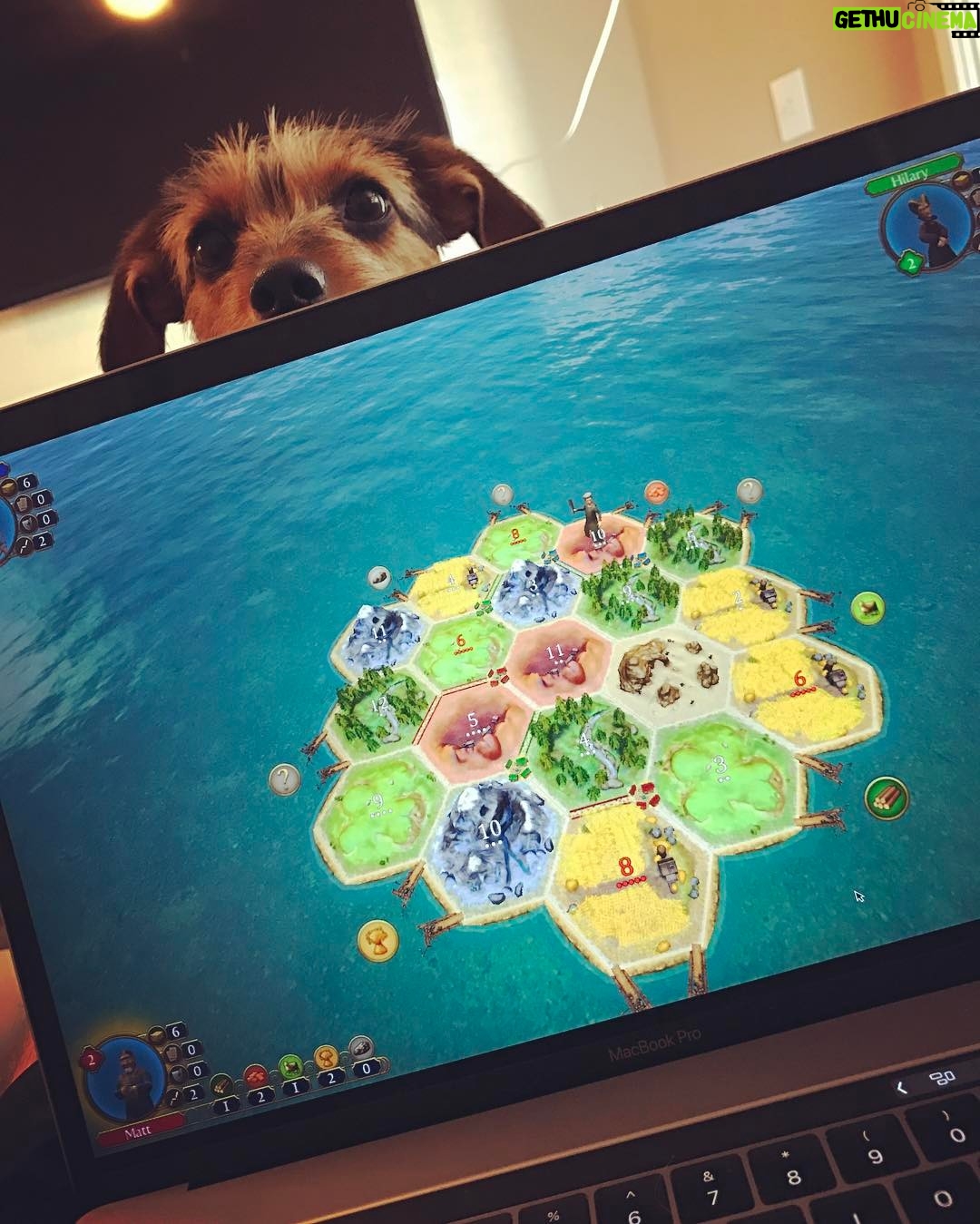 Matthew Lewis Instagram - "Pay attention to me!"