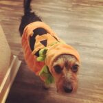 Matthew Lewis Instagram - Trick or treat?