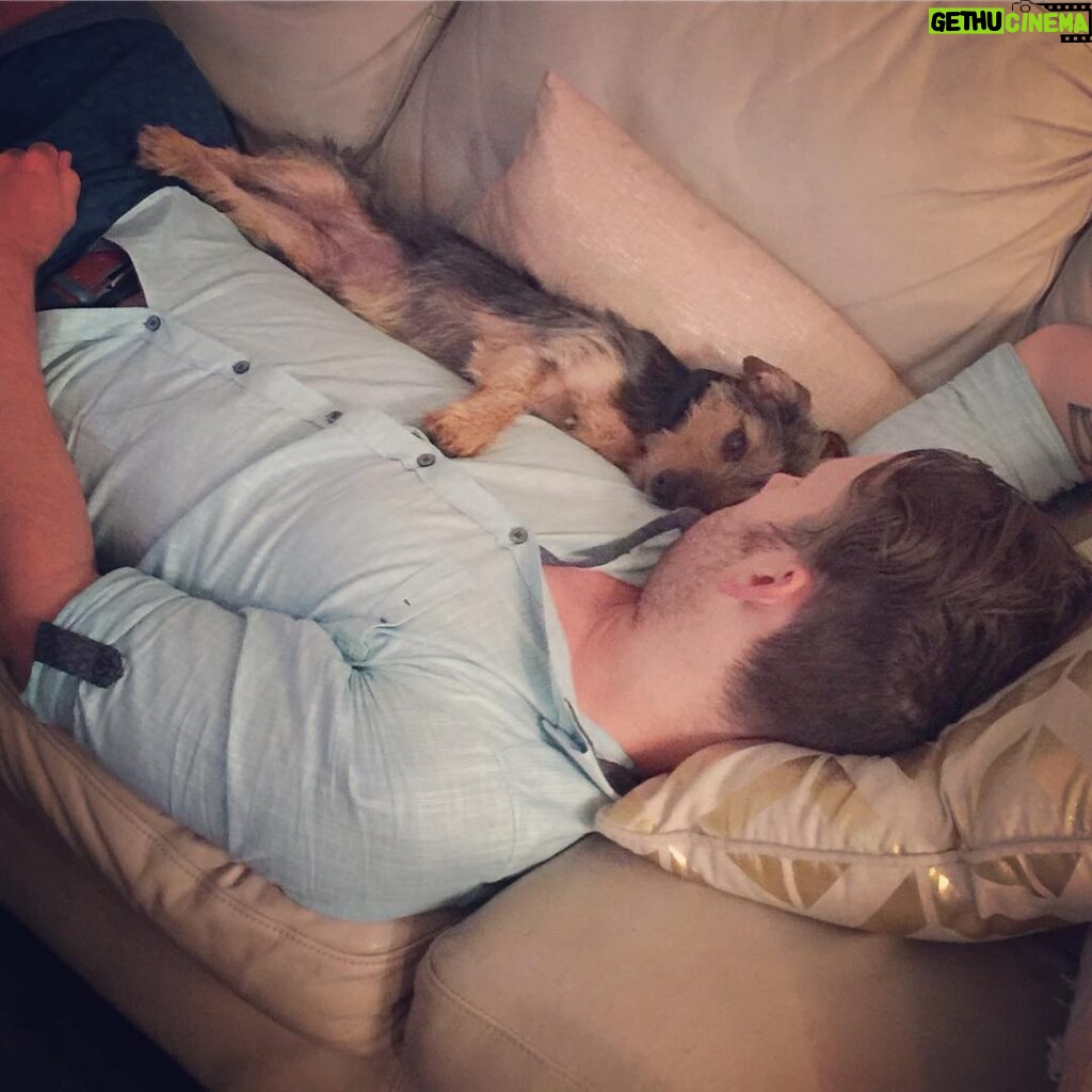 Matthew Lewis Instagram - Hands up, I've been caught napping there. In my defence, puppies are hard work.
