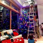 Matthew McConaughey Instagram - tree-work