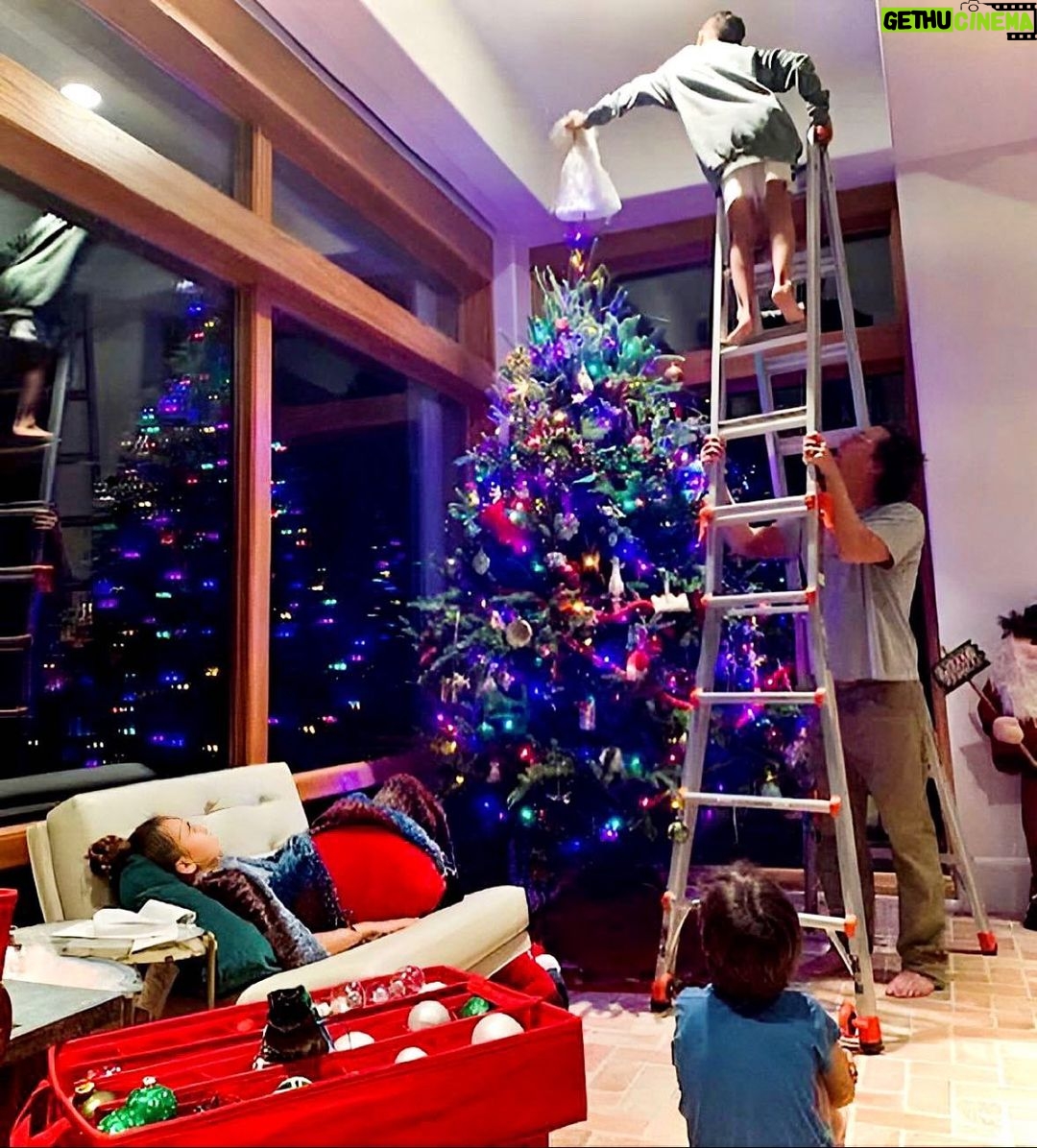 Matthew McConaughey Instagram - tree-work
