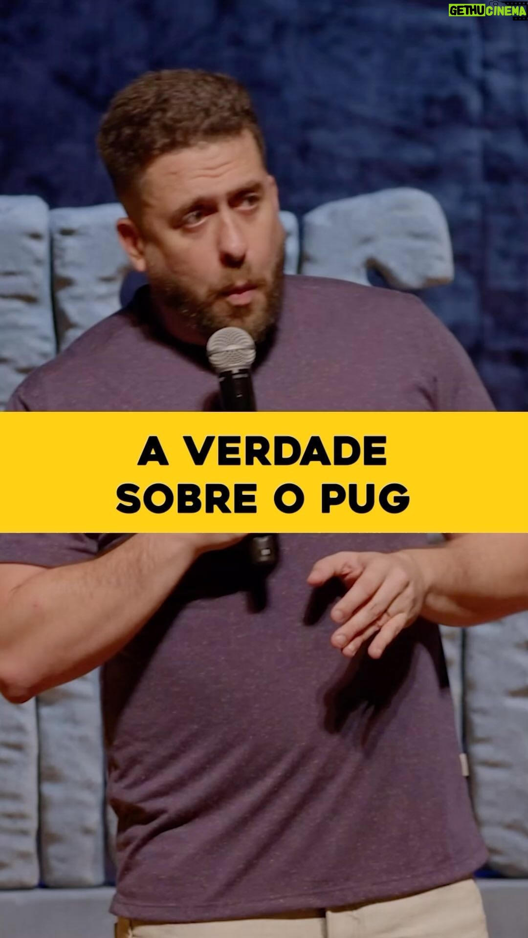 Maurício Meirelles Instagram - VIREI O CARA QUE COMENTA SOBRE CACHORROS!