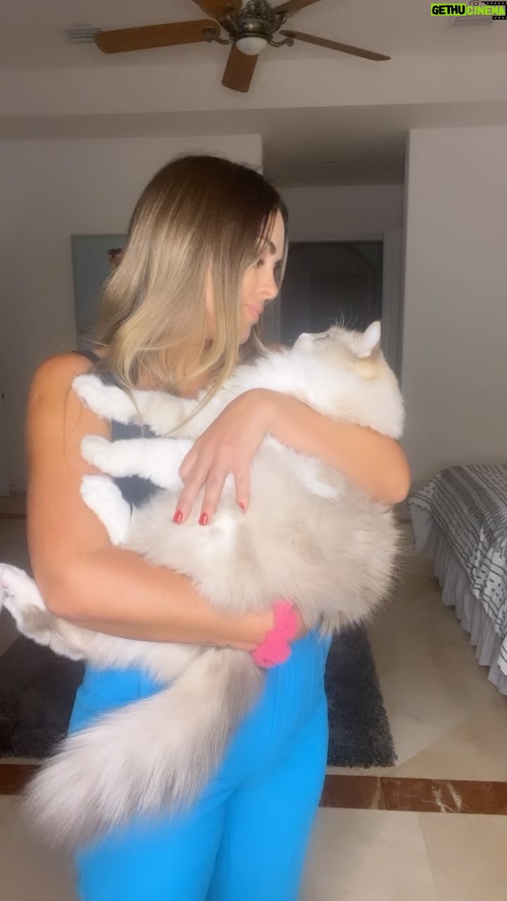 Maura Rivera Instagram - Perruna y también gatuna 🤍🩵 Ustedes team gato o team perro ??